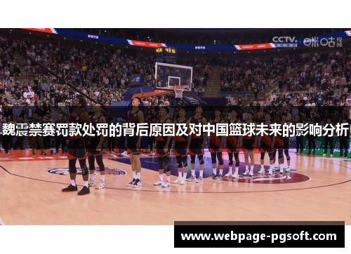 魏震禁赛罚款处罚的背后原因及对中国篮球未来的影响分析