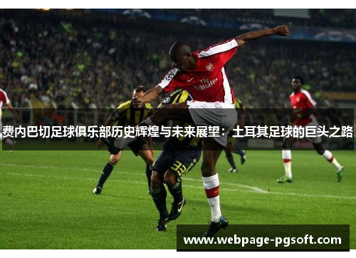 费内巴切足球俱乐部历史辉煌与未来展望：土耳其足球的巨头之路