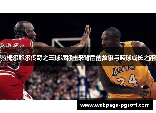 拉梅尔鲍尔传奇之三球昵称由来背后的故事与篮球成长之路 拉梅尔鲍尔传奇之三球昵称由来背后的故事与篮球成长之路