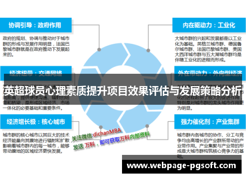 英超球员心理素质提升项目效果评估与发展策略分析